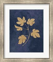 Framed Botanical Study III Gold Navy