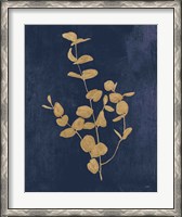 Framed Botanical Study II Gold Navy