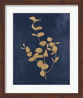 Framed Botanical Study II Gold Navy