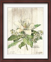 Framed Magnolia de Printemps v2