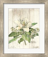 Framed Magnolia de Printemps v2