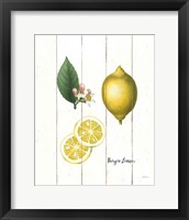 Framed 'Cottage Lemon II' border=