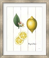 Framed Cottage Lemon II