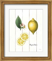 Framed Cottage Lemon II