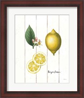 Framed Cottage Lemon II