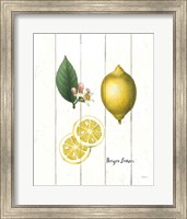 Framed Cottage Lemon II