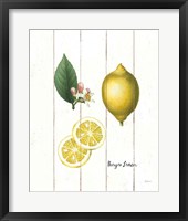 Framed 'Cottage Lemon II' border=