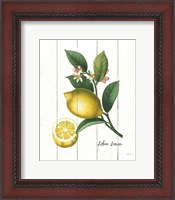Framed Cottage Lemon I