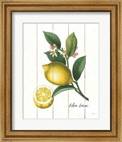 Framed 'Cottage Lemon I' border=