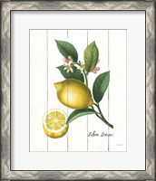 Framed 'Cottage Lemon I' border=