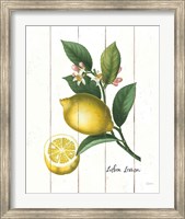 Framed Cottage Lemon I