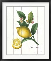 Framed Cottage Lemon I