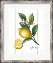 Framed Cottage Lemon I