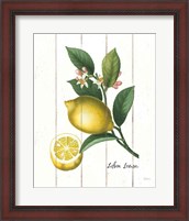 Framed Cottage Lemon I