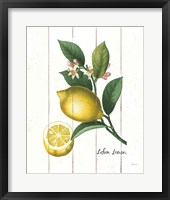 Framed Cottage Lemon I