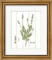 Framed Cottage Herbs II