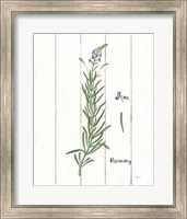 Framed Cottage Herbs I