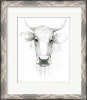 Framed Cow Sketch