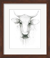 Framed Cow Sketch