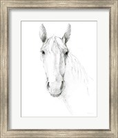 Framed Horse Sketch