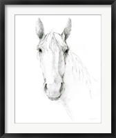 Framed Horse Sketch