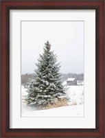 Framed Perfect Pine Tree