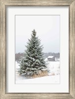Framed Perfect Pine Tree