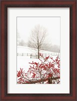 Framed Red on White