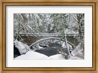 Framed Whatcom Creek Bridge