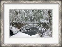 Framed Whatcom Creek Bridge