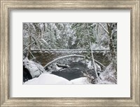 Framed Whatcom Creek Bridge