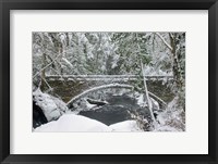 Framed Whatcom Creek Bridge