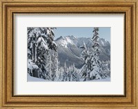 Framed Nooksack Ridge in Winter