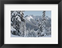 Framed Nooksack Ridge in Winter