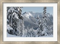 Framed Nooksack Ridge in Winter