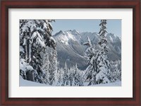 Framed Nooksack Ridge in Winter