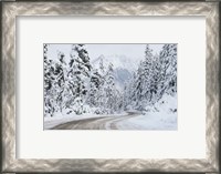 Framed Mount Baker Highway I