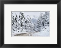 Framed Mount Baker Highway I