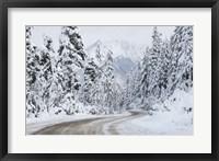 Framed Mount Baker Highway I