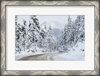 Framed Mount Baker Highway I