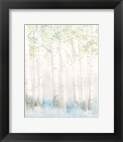 Framed Soft Birches III