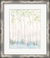 Framed 'Soft Birches III' border=