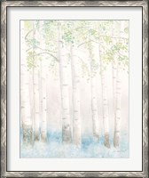 Framed Soft Birches III