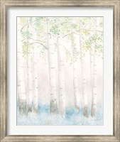 Framed Soft Birches III
