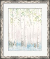 Framed Soft Birches III