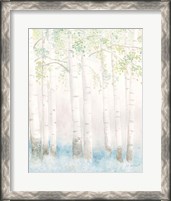 Framed 'Soft Birches III' border=
