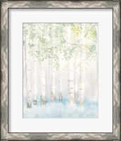 Framed 'Soft Birches II' border=