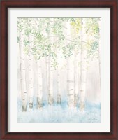 Framed Soft Birches II