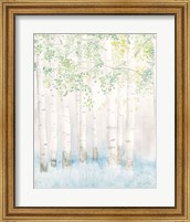 Framed Soft Birches II