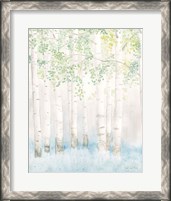 Framed Soft Birches II